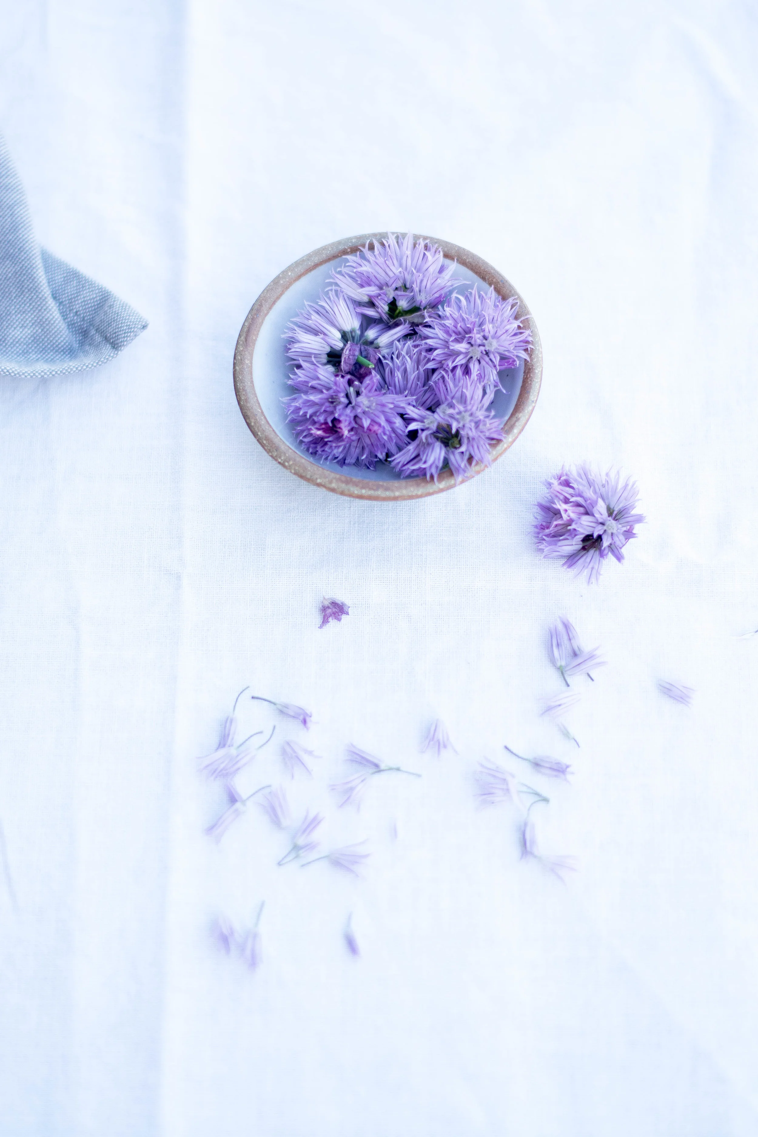 Grilled Flatbreads with Charred Lemon, Ricotta, + Chive Blossoms | All Purpose Flour Child