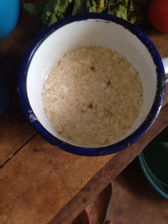 What's for lunch? Habobo!
