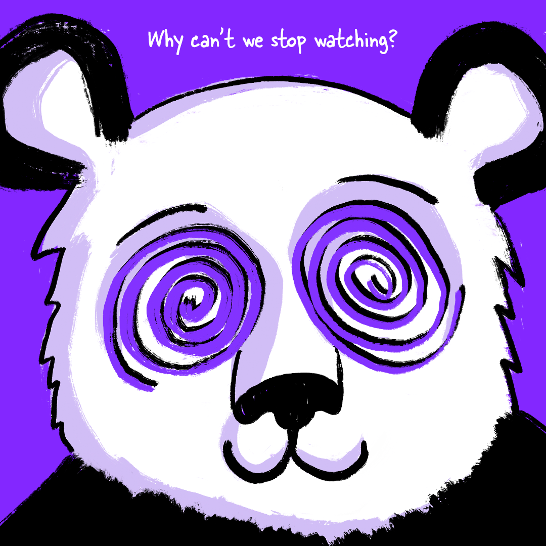 2023-11-panda-comicPanel-4.png