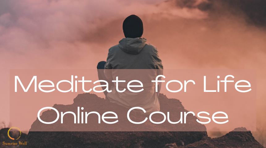 Meditate for LIFE online course $49