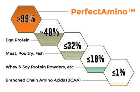 PerfectAmino_CHART_HighContrast_large.png