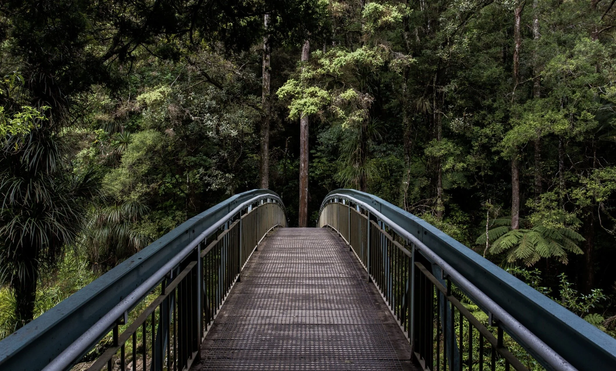 Screen Shot 2021-06-30 at 1.22.34 PM.JPG