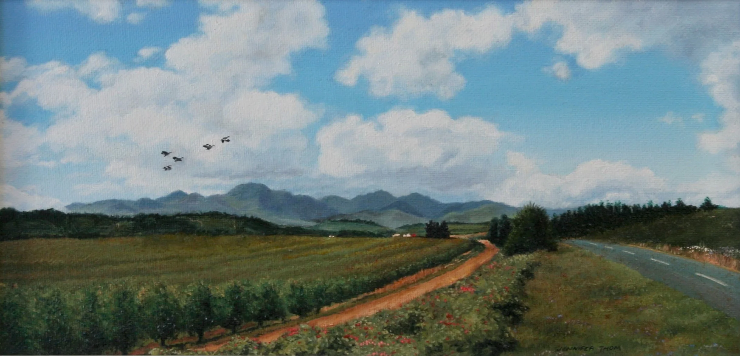 Summers Day - Western Cape Landscape