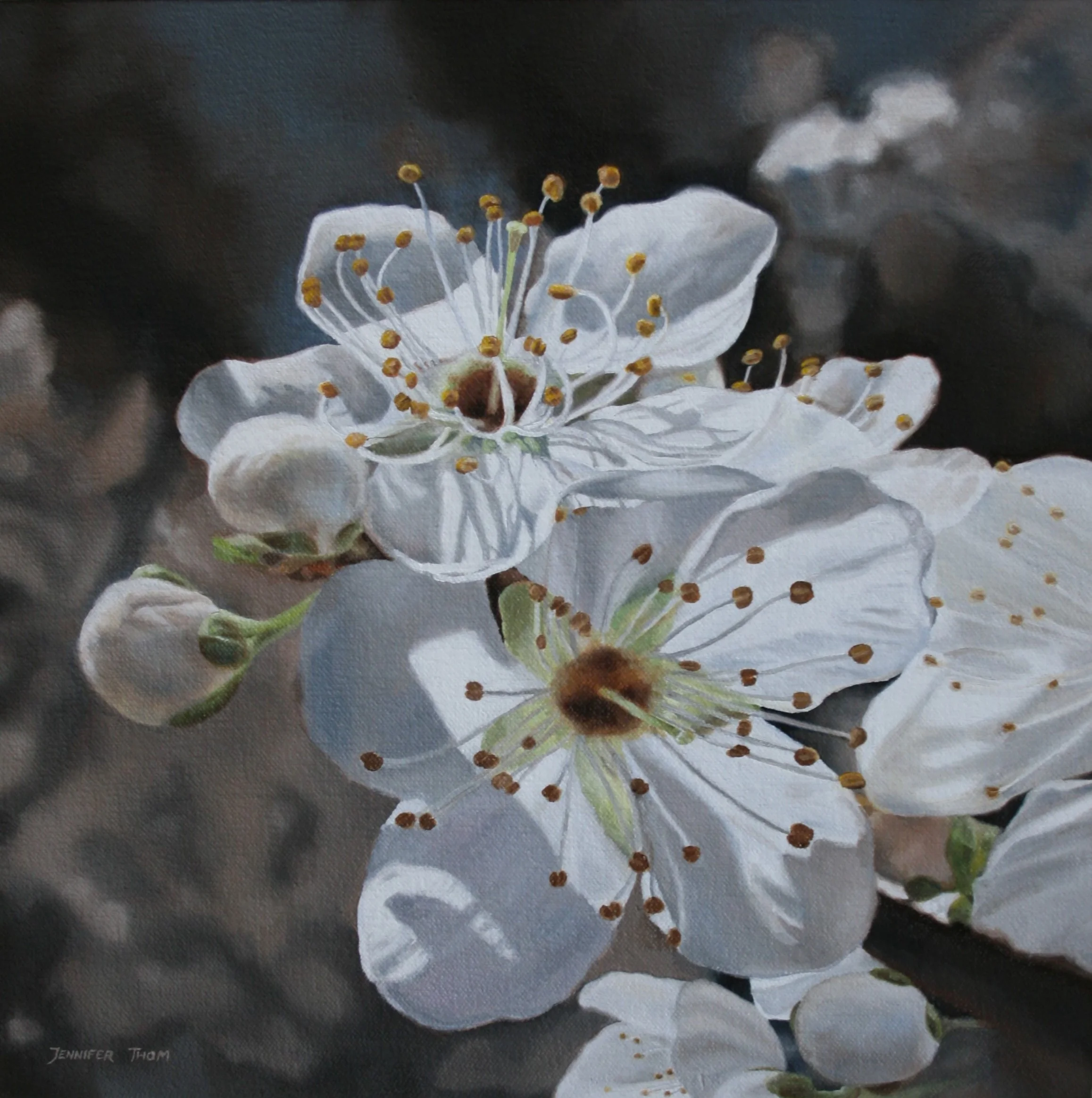 Spring Blossoms