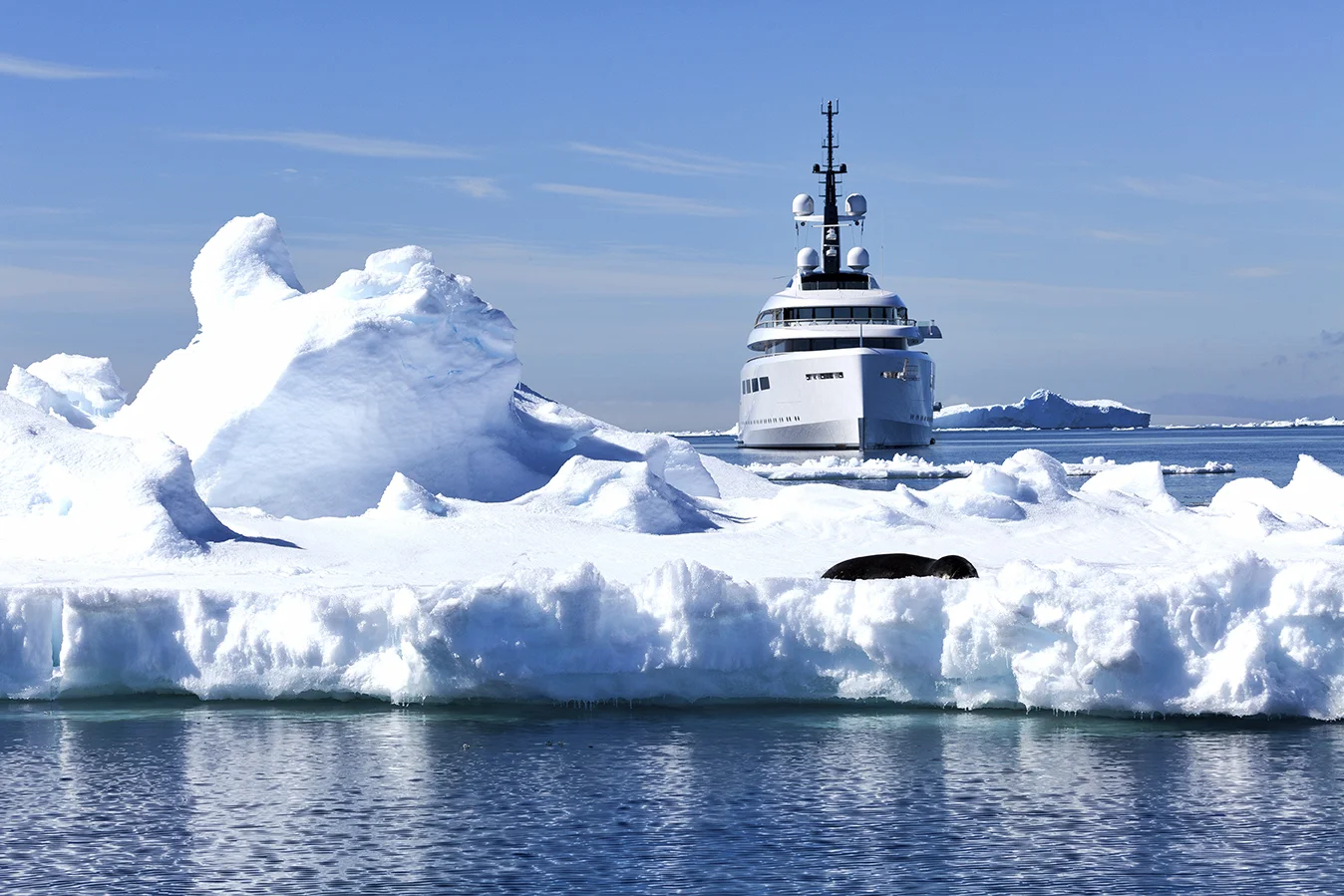 Private visitors to the Antarctic are required to protect Antarctic wildlife, keep Antarctica pristine, be safe, respect protected areas and respect scientific research. Photo: Dr. Glenn Singleman