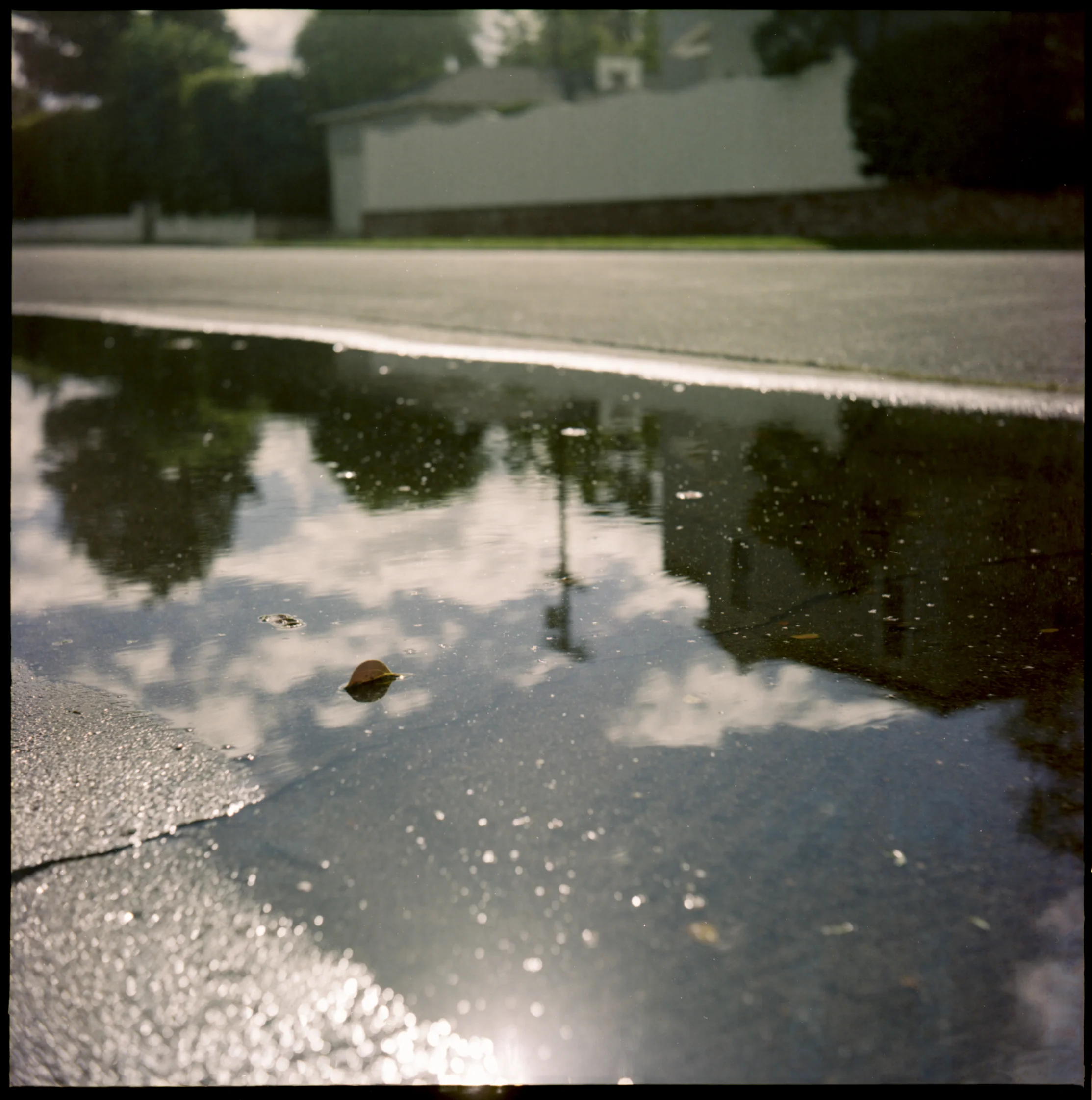 Yashica_2017_09-03-_20170904_0007.jpg
