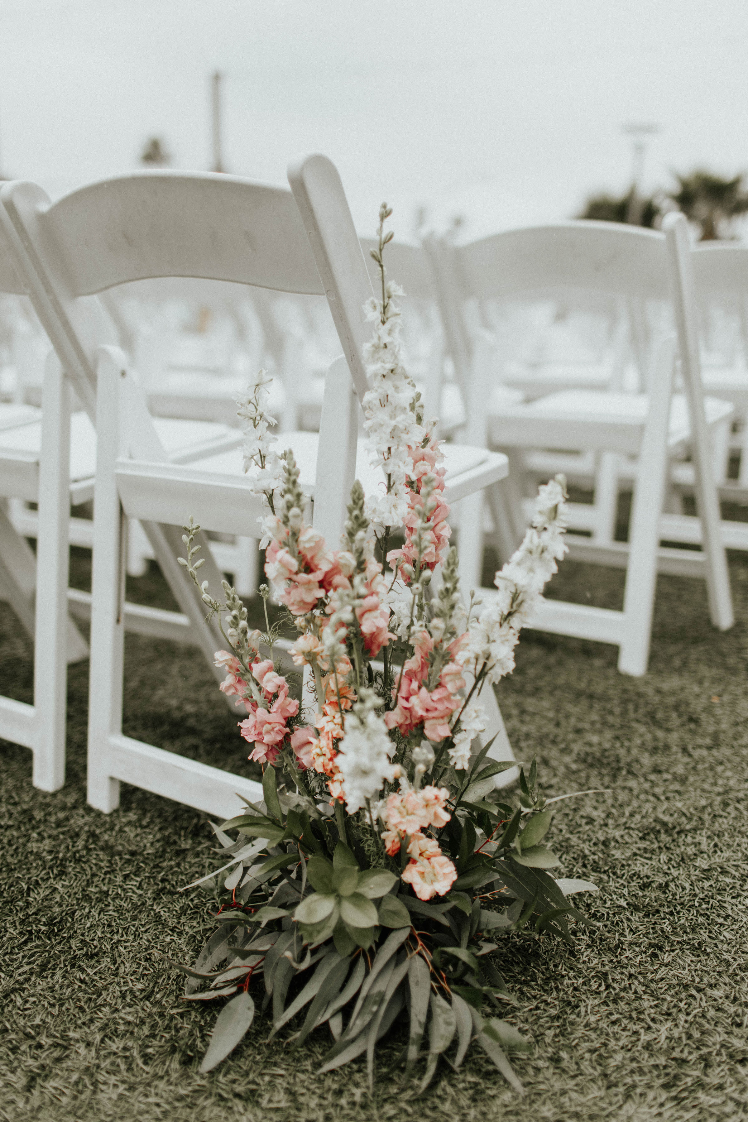 Living_Coral_Flowers_Sibyl_Sophia_Des_Moines_Iowa.jpg