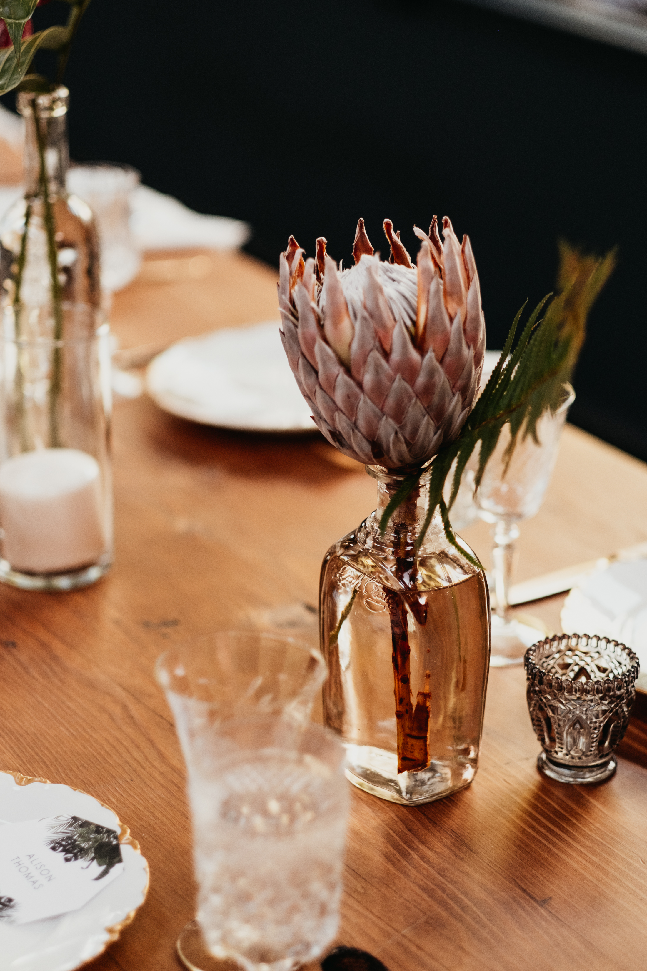 Dark_Tropical_Florals_Sibyl_Sophia_Protea.jpg