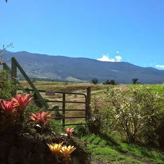  The majestic Mt. Haleakala beckons travelers worldwide.