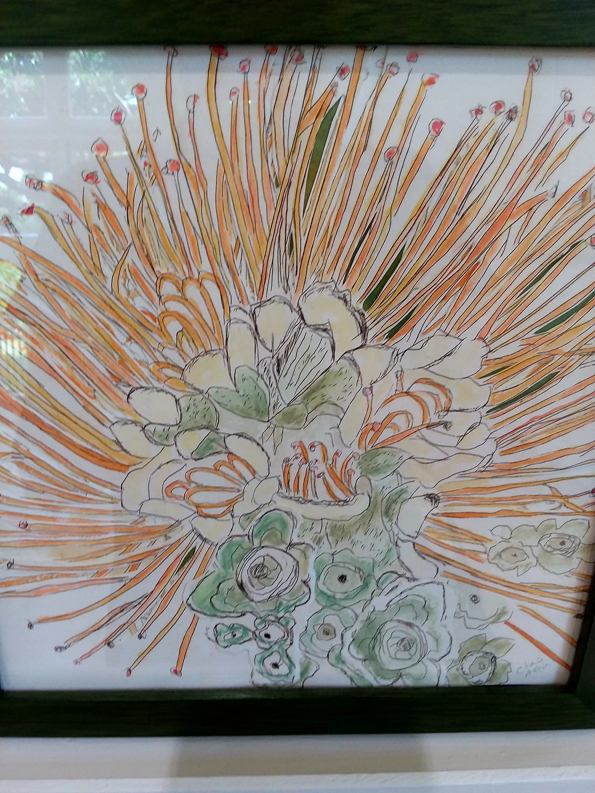 ohia intaglio.jpg