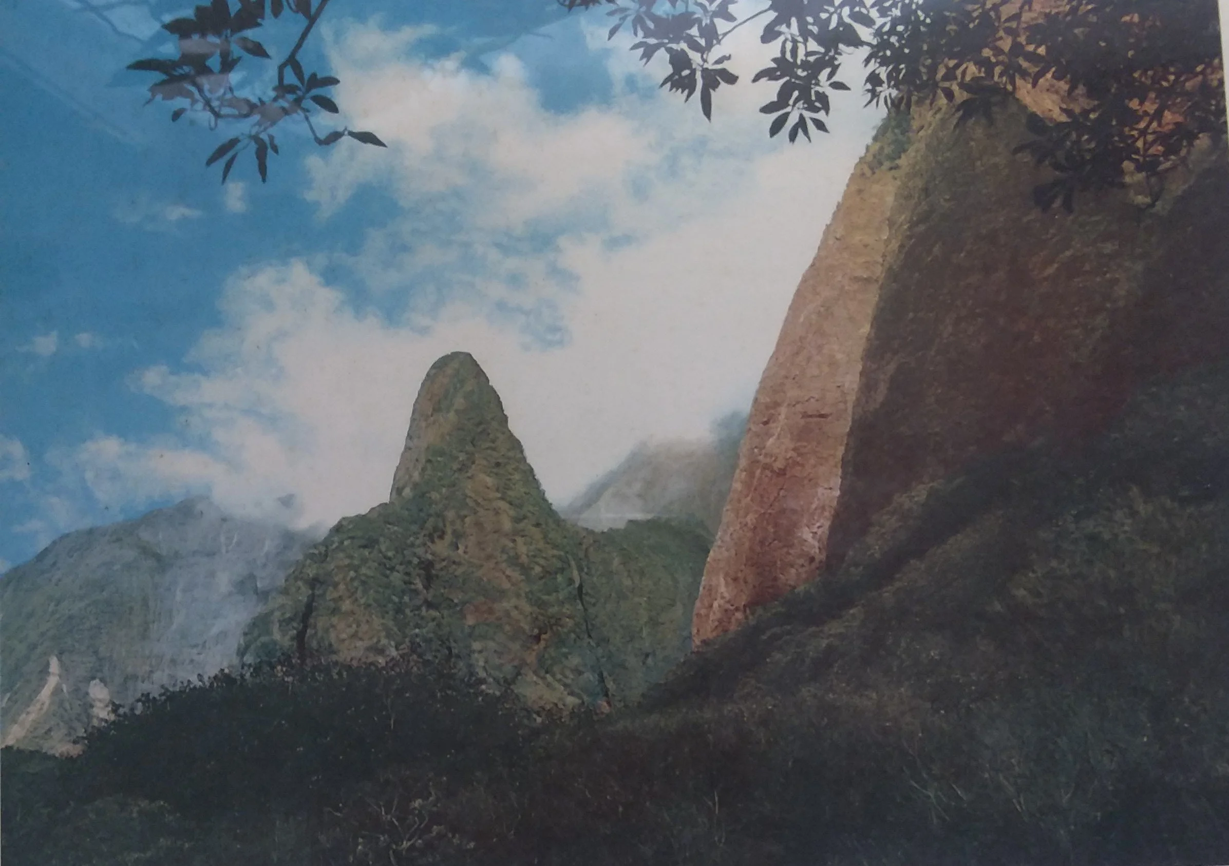 IAO.jpg