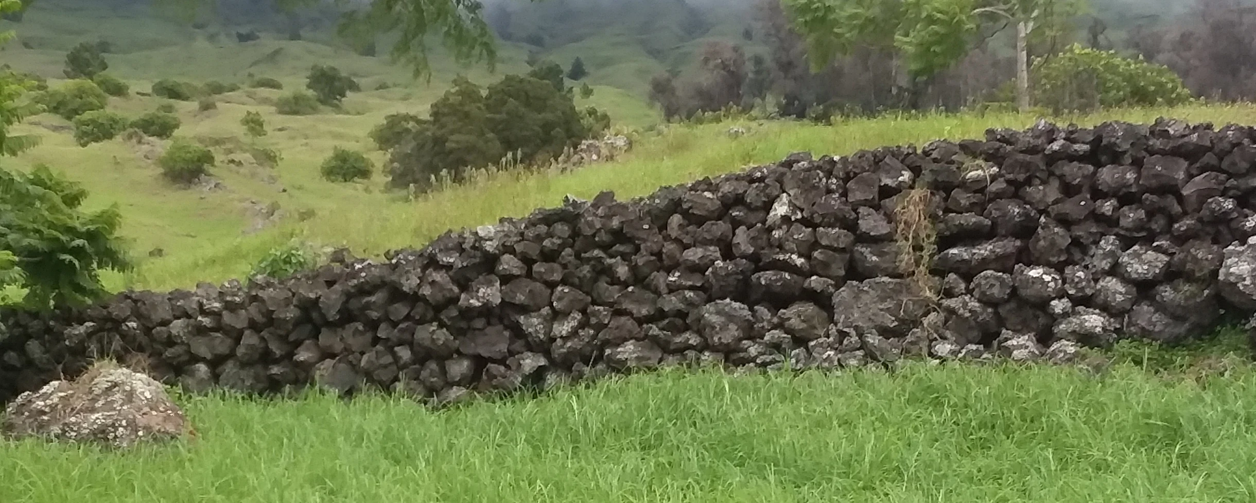 Dry Stack Rock Wall Upcountry