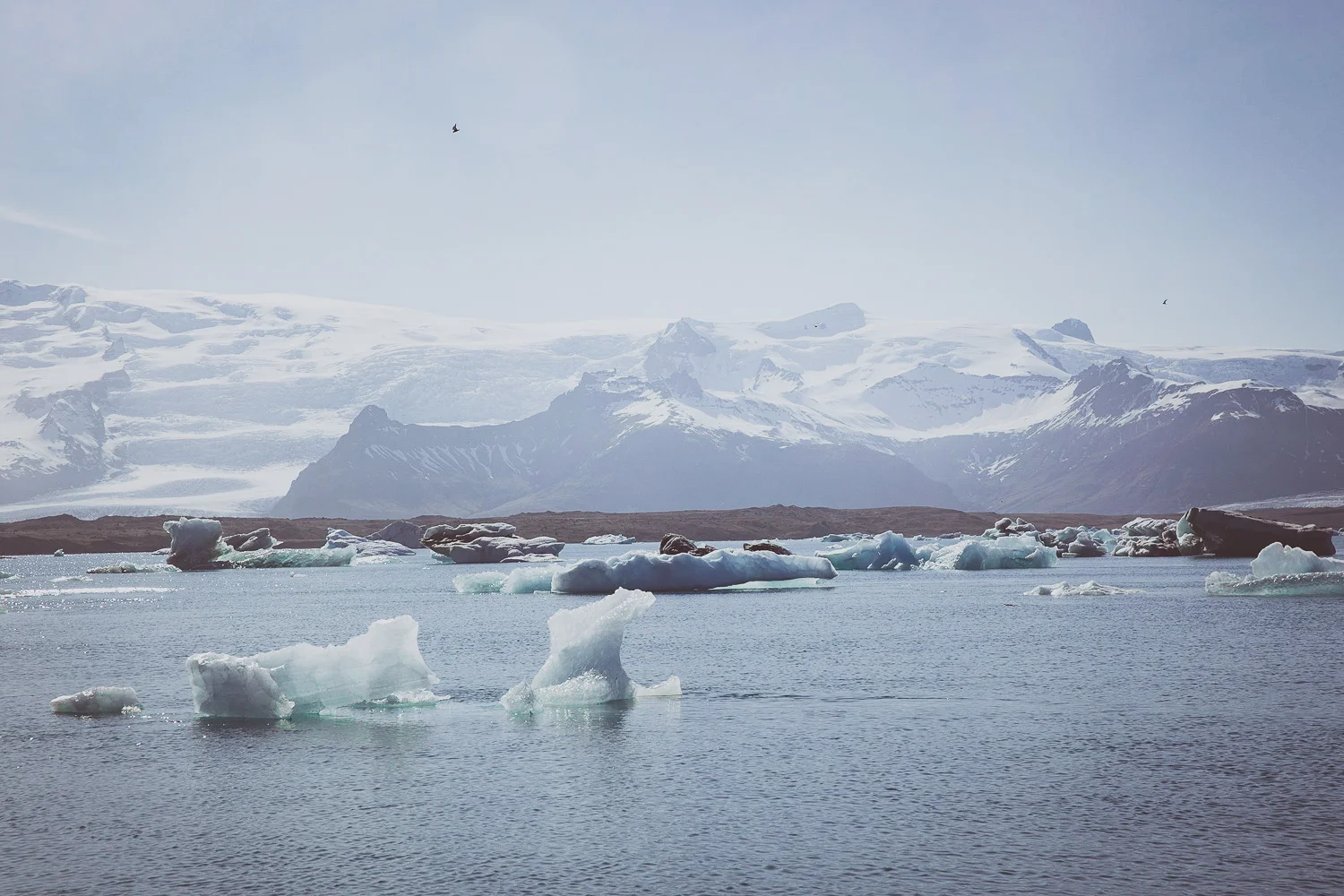 Iceland_Sophena-44.jpg