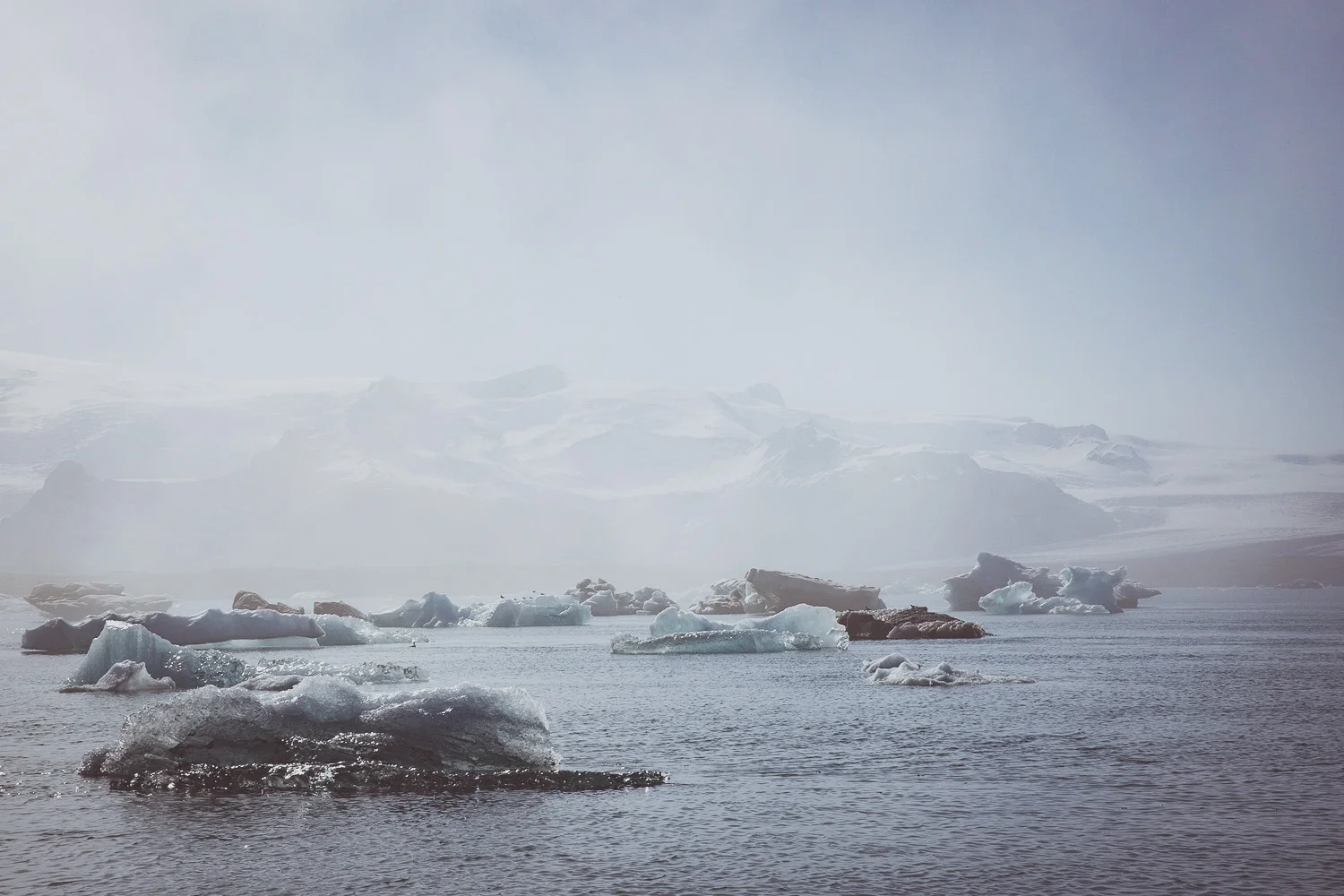 Iceland_Sophena-49.jpg