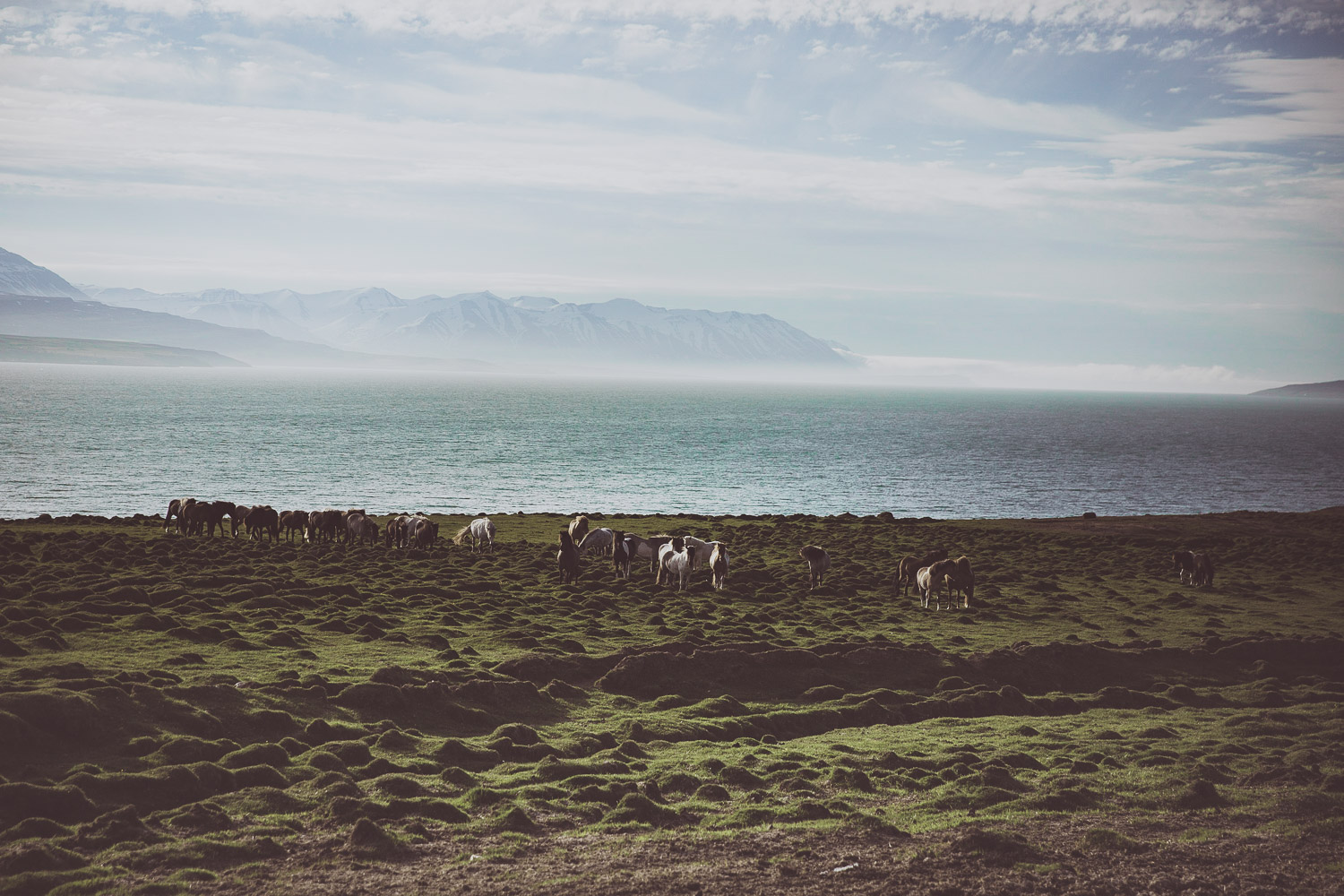 Iceland_Sophena-105.jpg