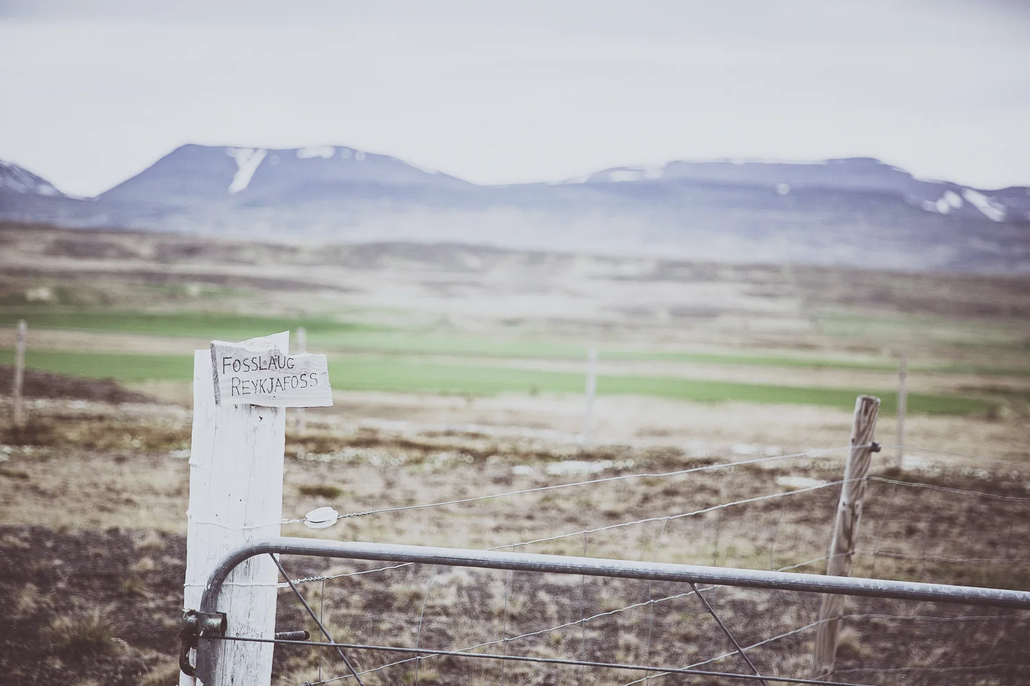 Iceland_Sophena-108.jpg