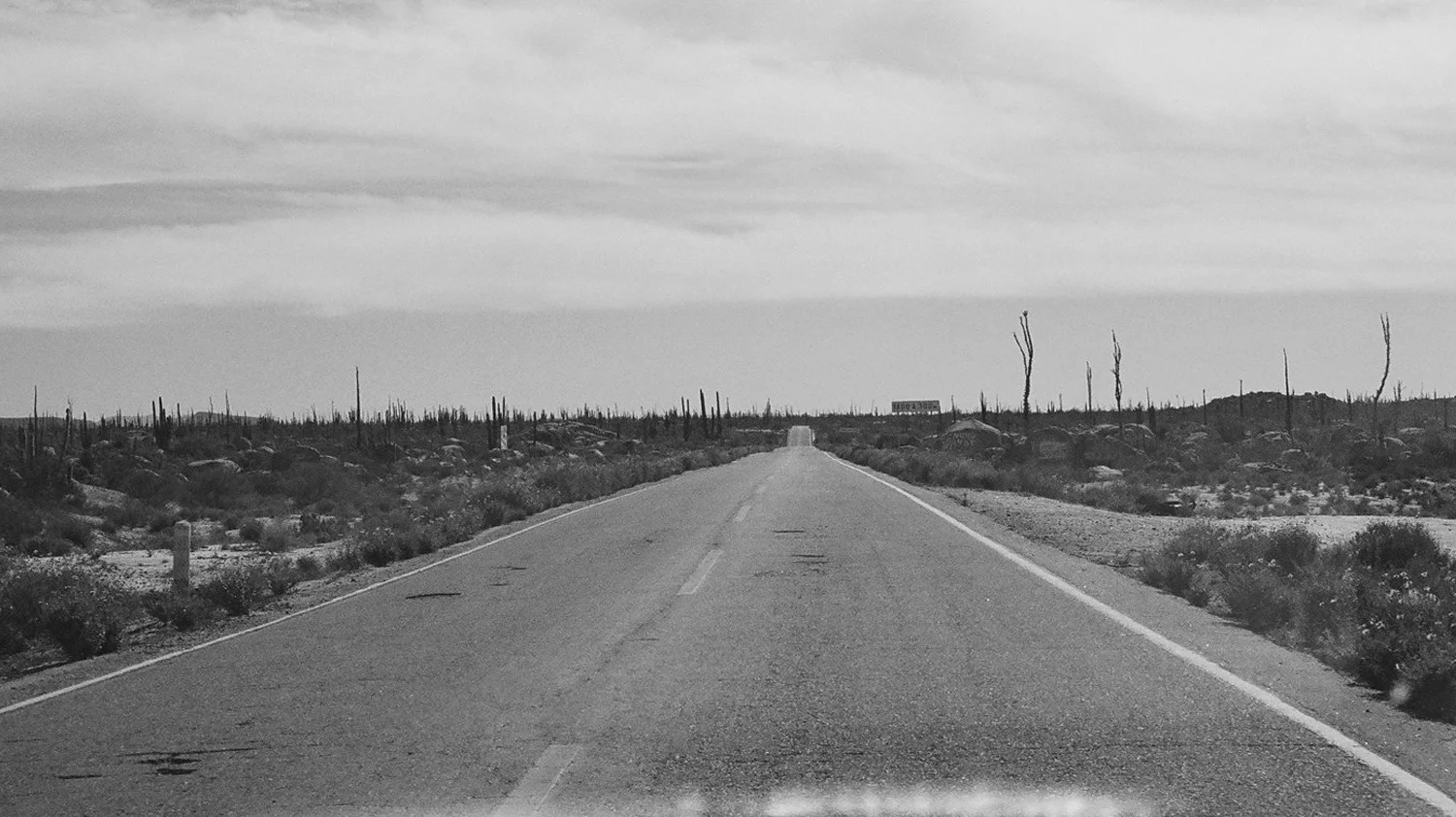 road1.jpg