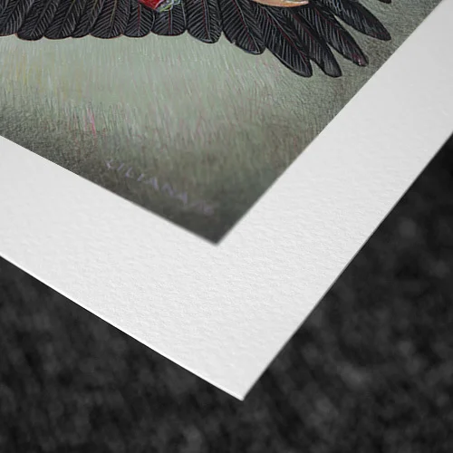 Black_Wings_p__64949.1479925056.1000.1200.jpg