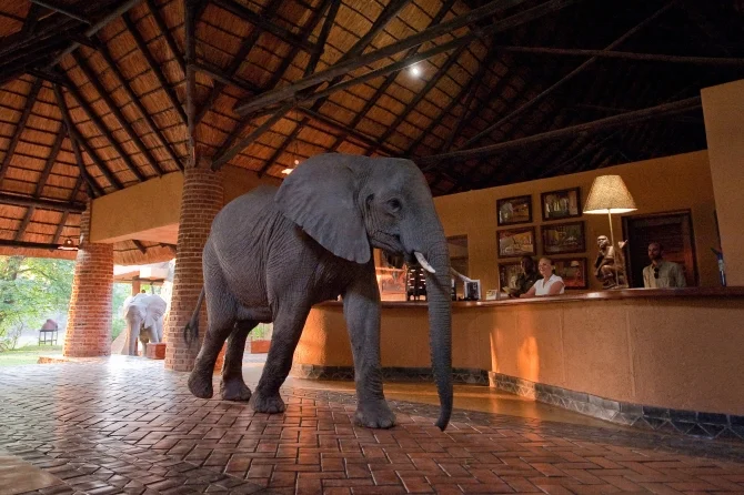 National Geographic's Unique Lodges of the World
