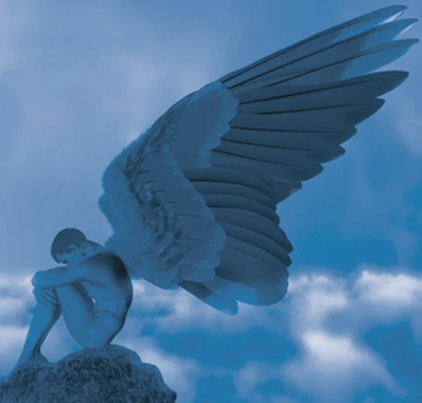 748 BEES turns soulful reflections into a grand audio expedition “Peace”