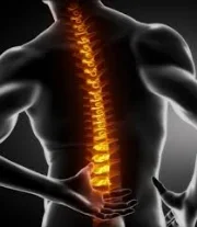 Spine.jpg