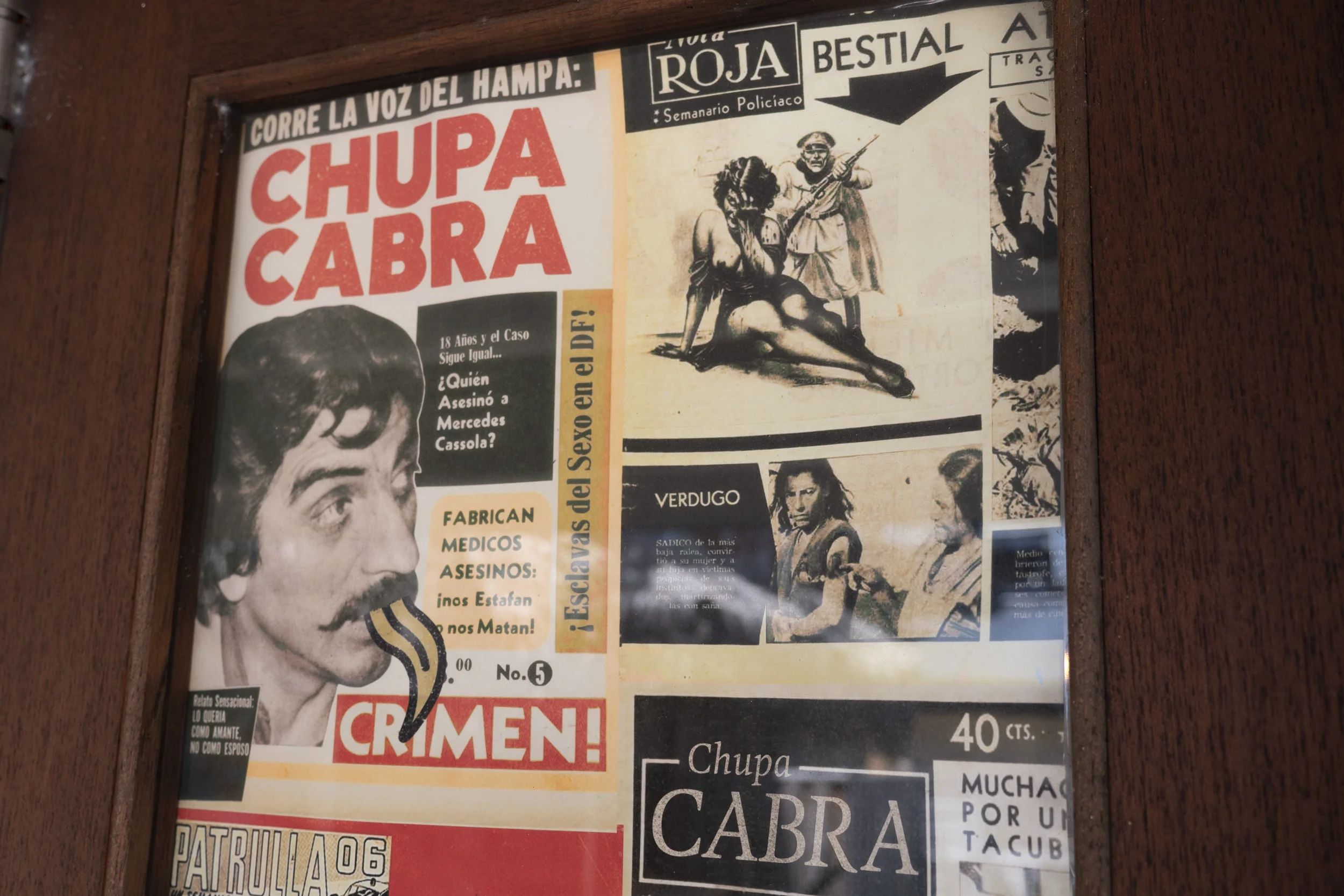 Chupacabra21.jpg