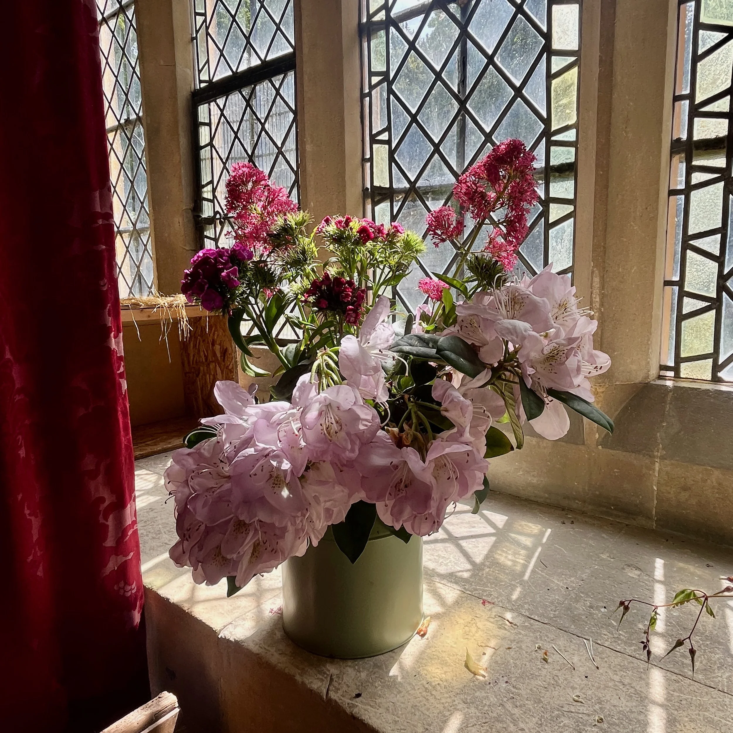 IMG_9213.jpeg