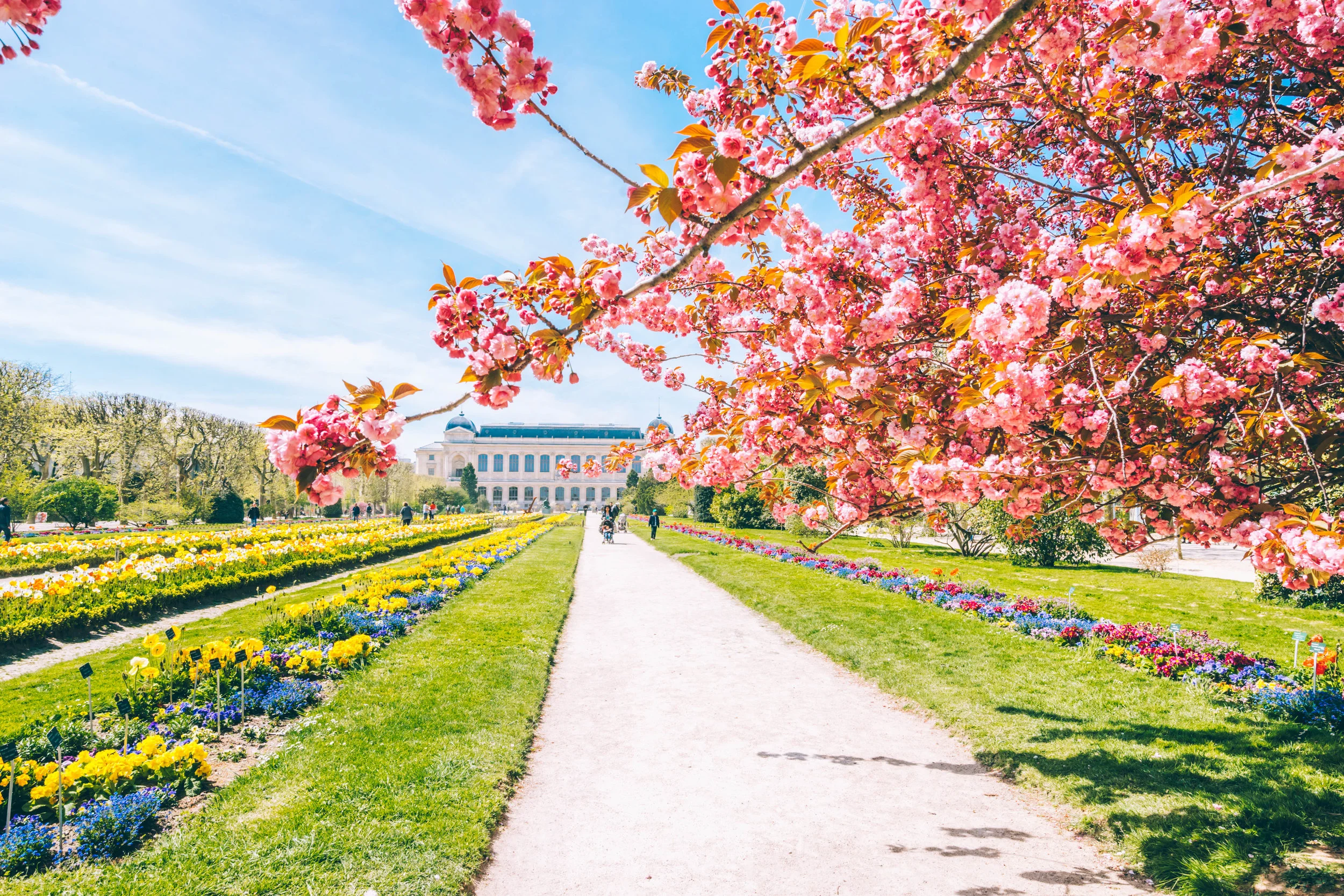 Jardin des Plantes 7.jpg