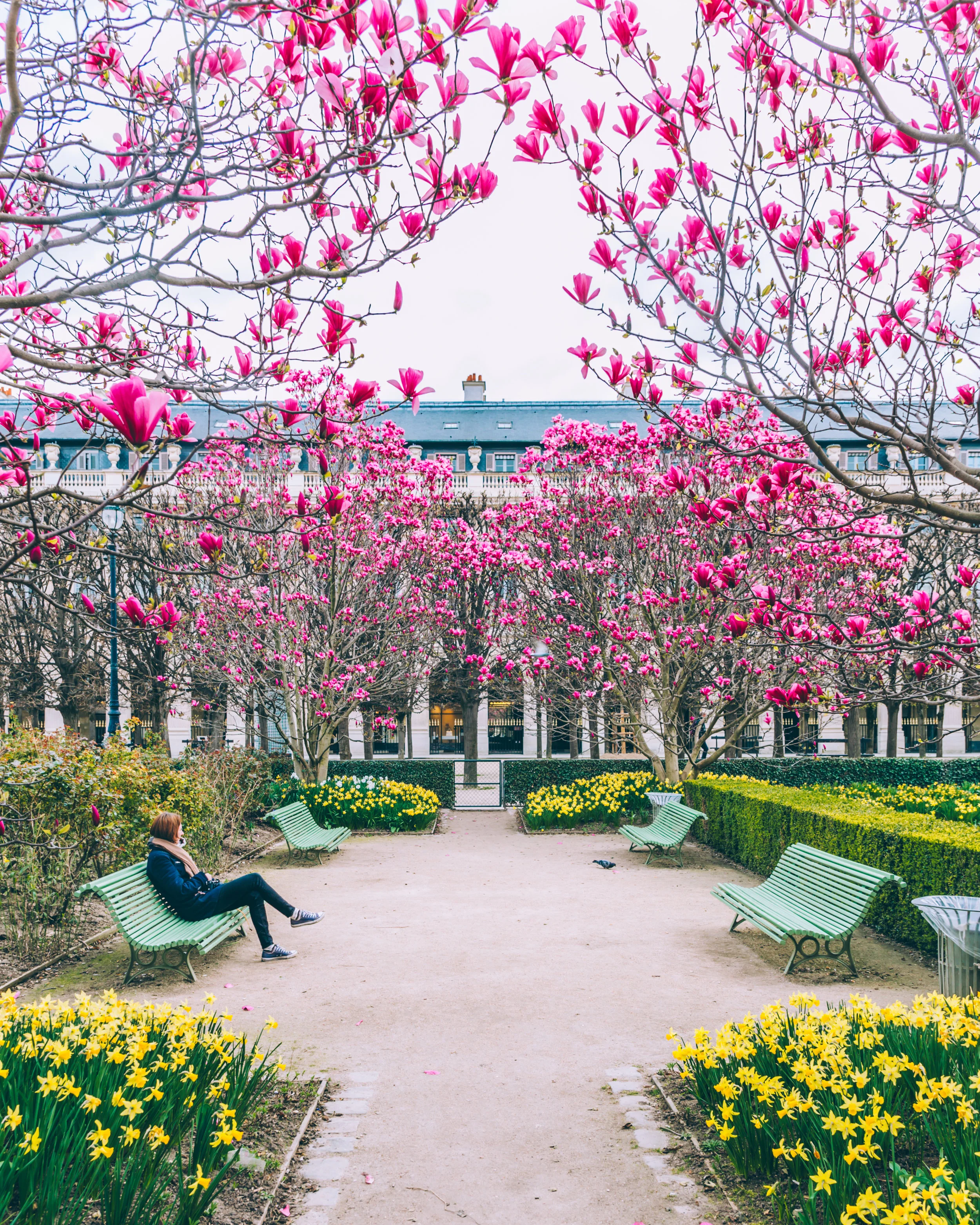 Palais Royal 4.JPG