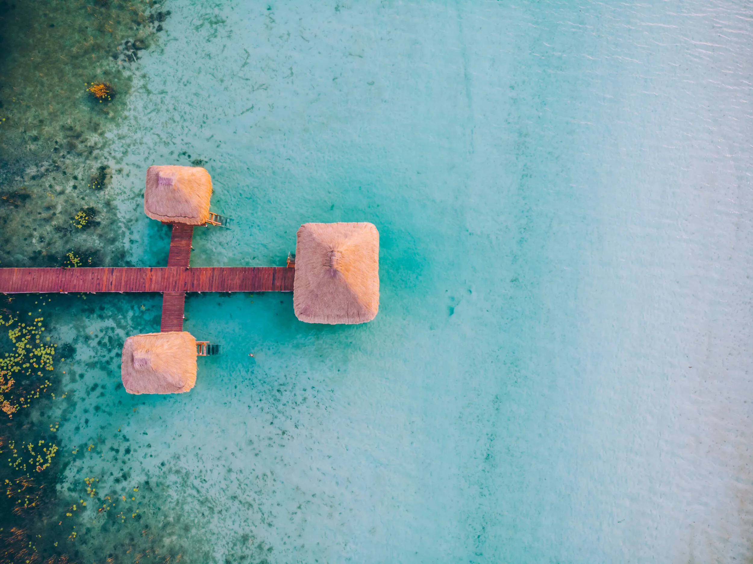 DJI_0931 2.JPG