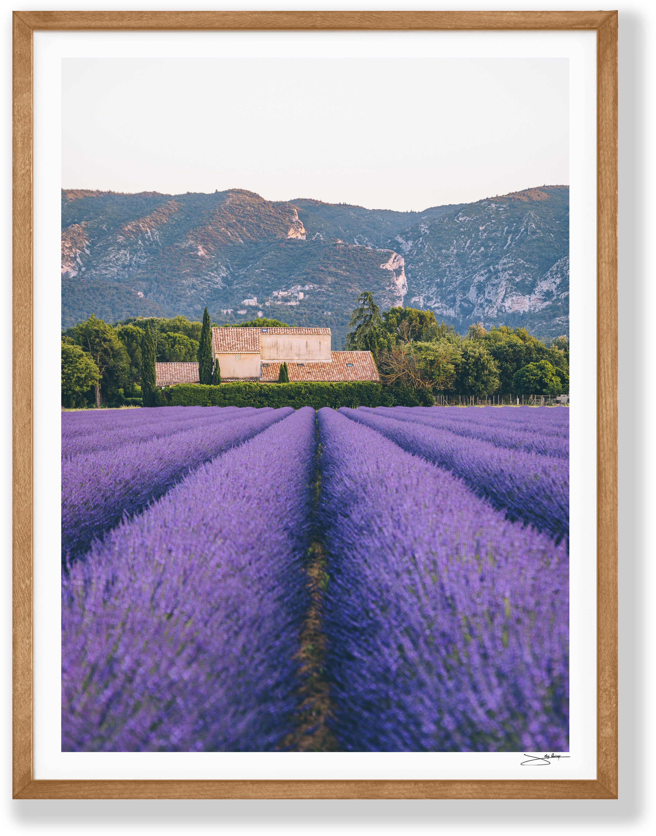 A villa in Provence 
