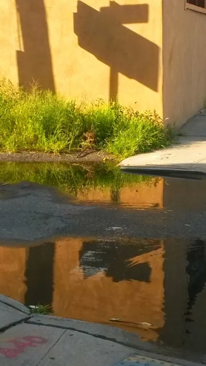 Urban Pools