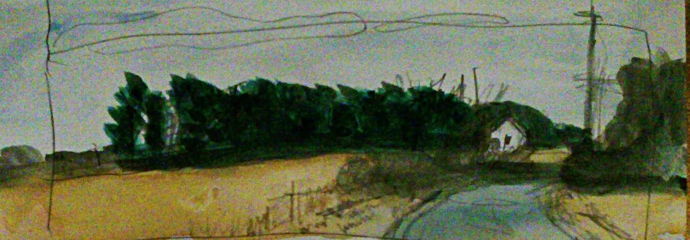 Treeline 26