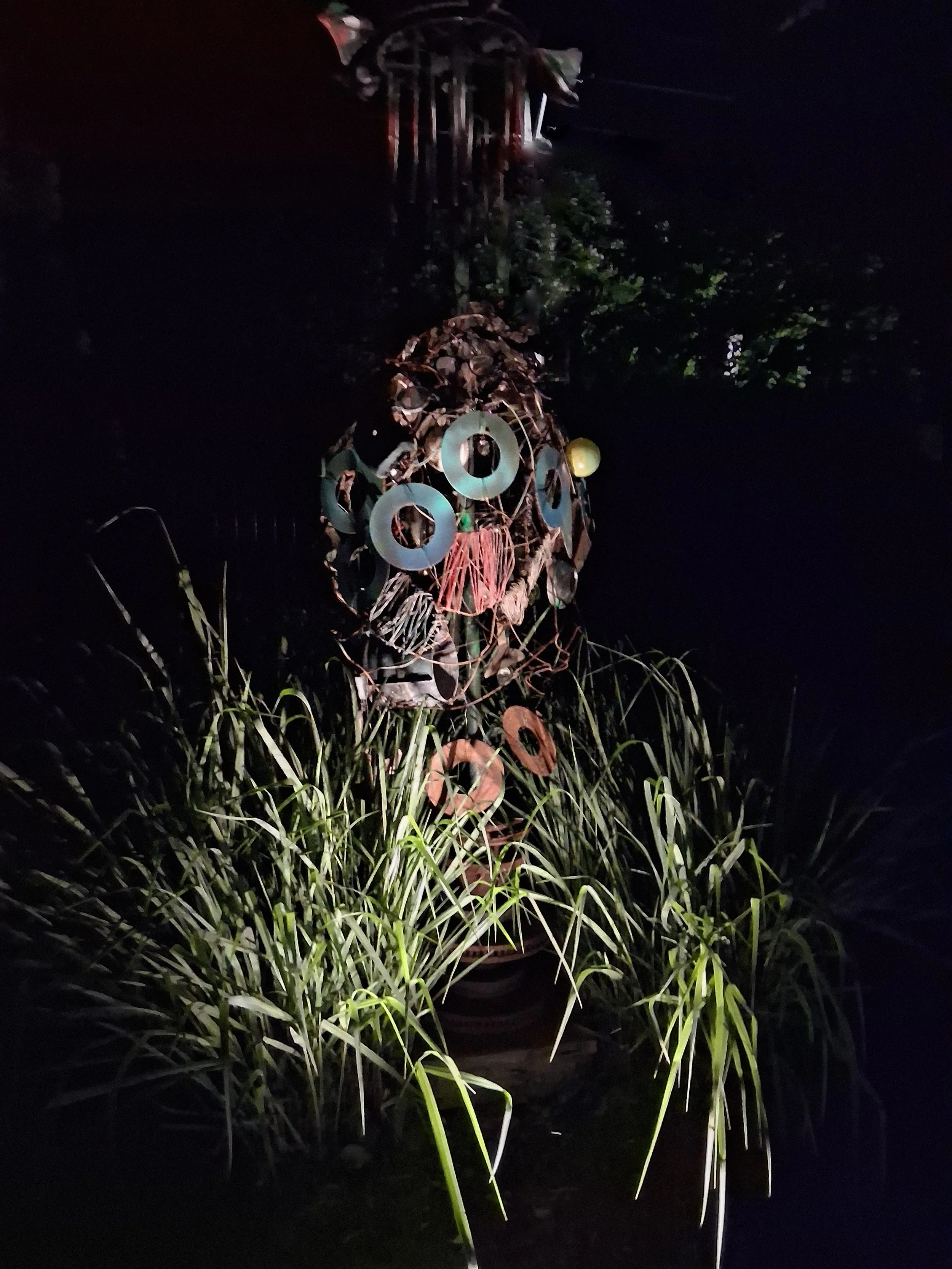 Shaman Warrior