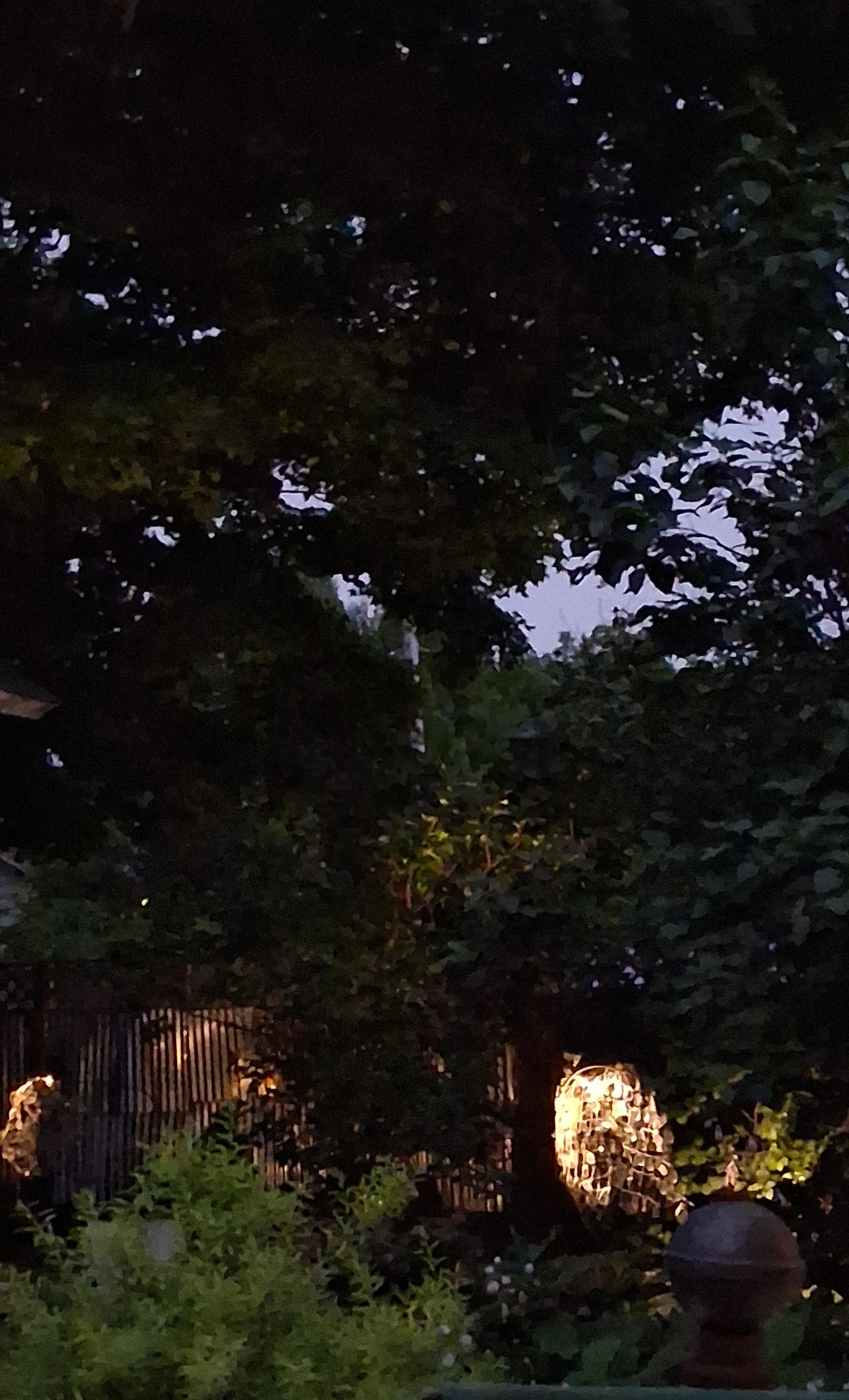 Two Sculptures in Vision Garden