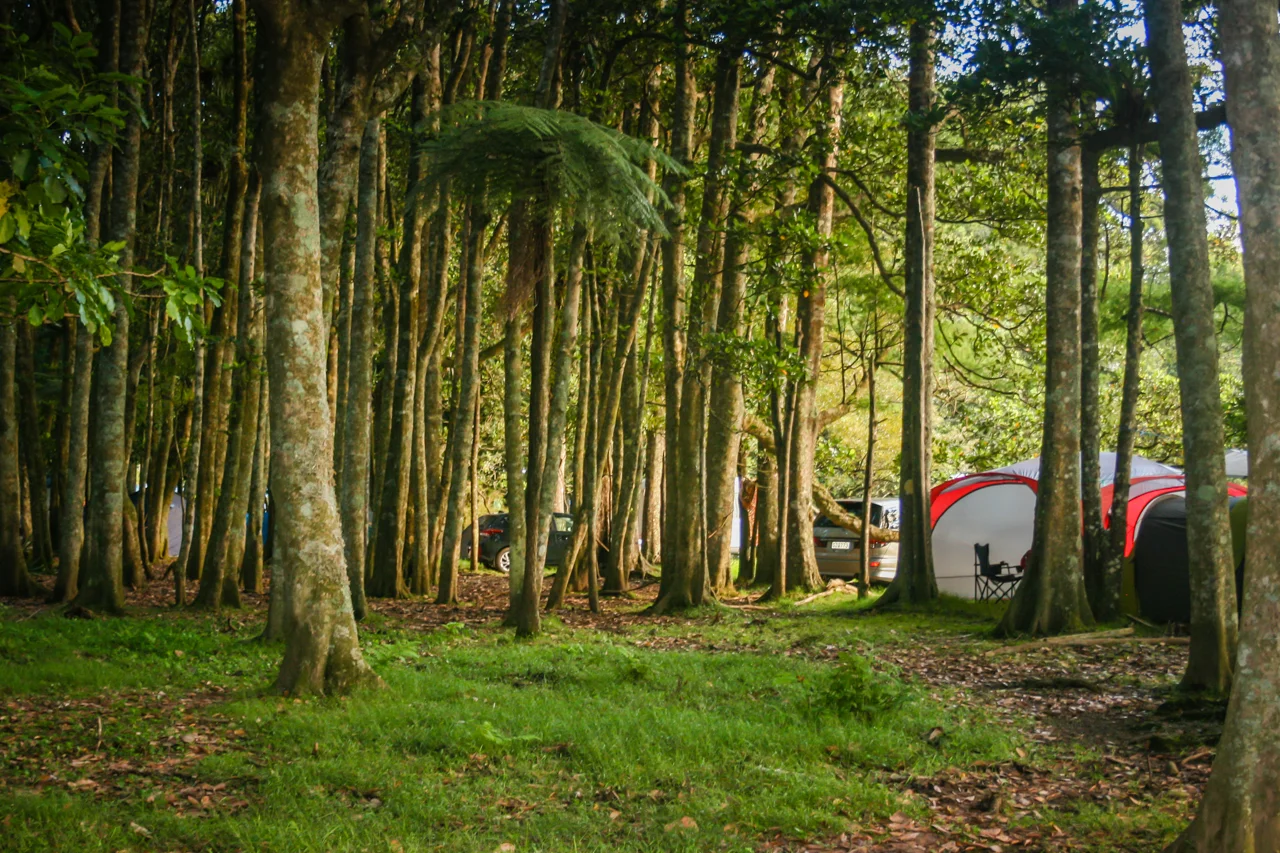 Dimension 2018-45.jpg