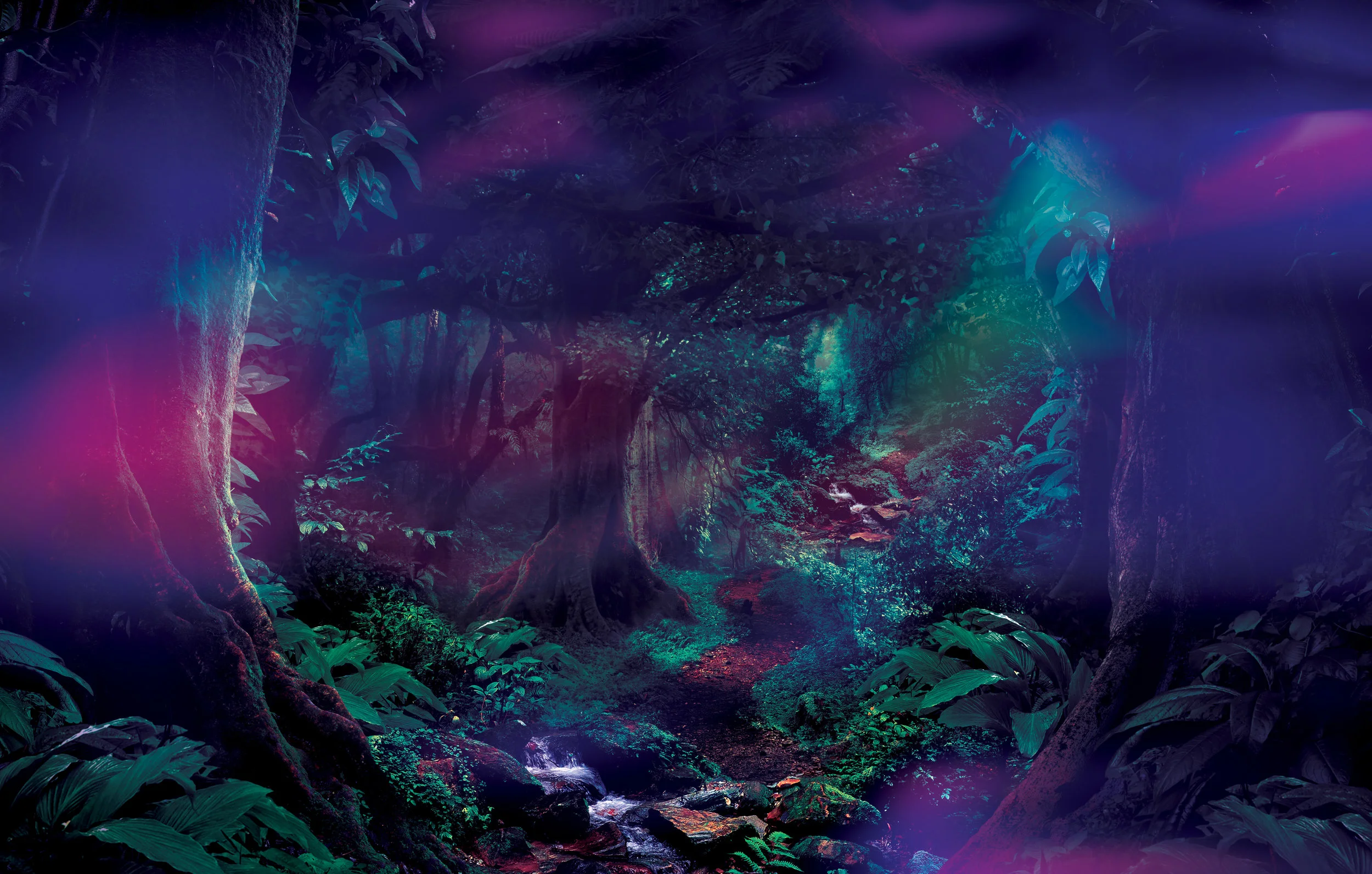 Dimension 2020 Backgrounds - 11.jpg
