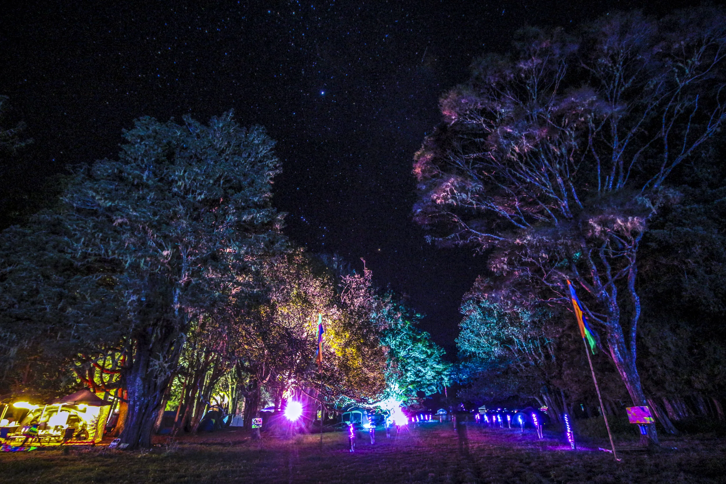 Dimension 2019 Onto It Photographers Set 2 -230Dimension 2019 Onto It Photographers Set 2 -230_Edited_1 Digit Serial Number.jpg