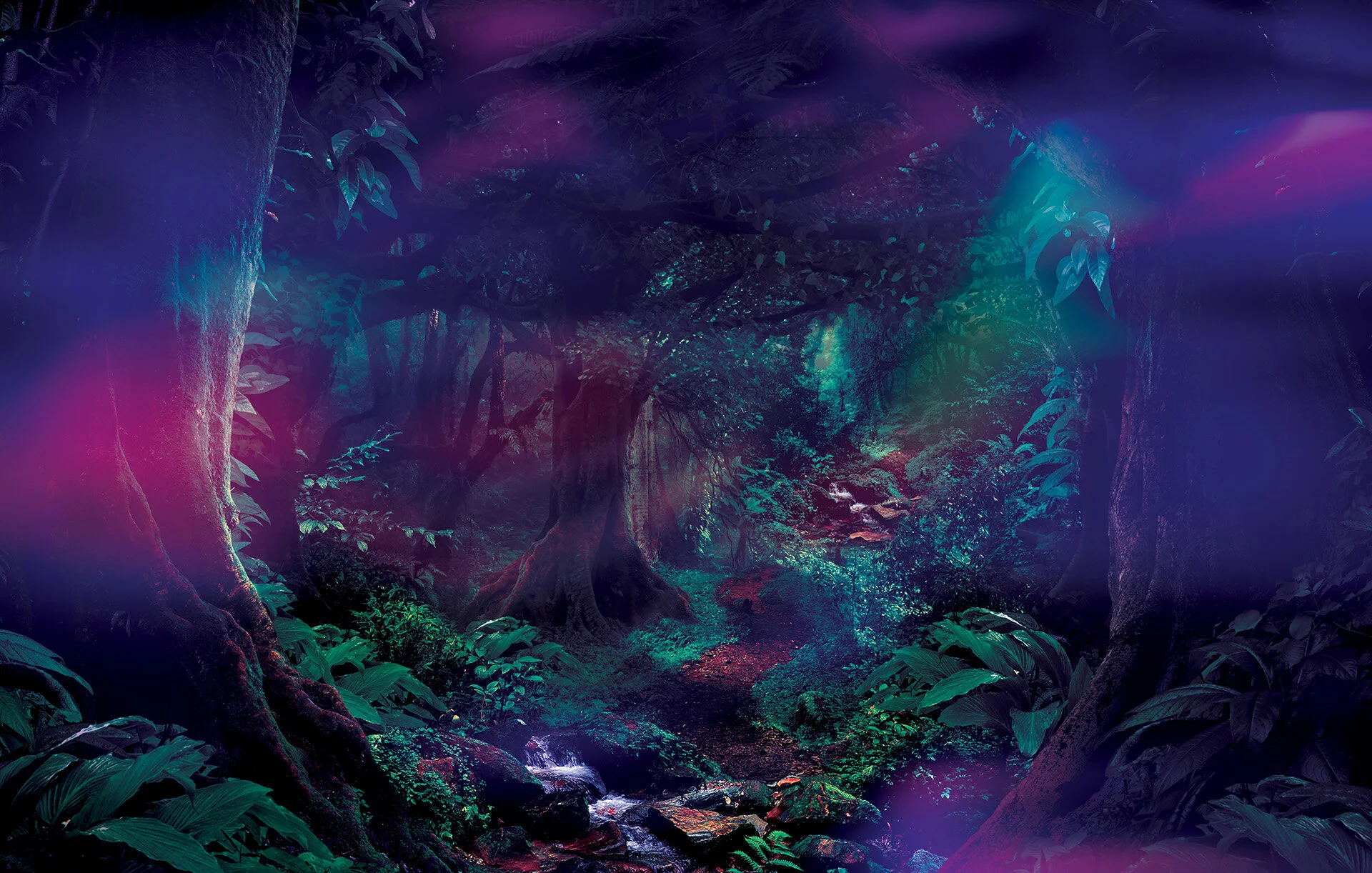 Dimension 2020 Backgrounds - 1920.jpg