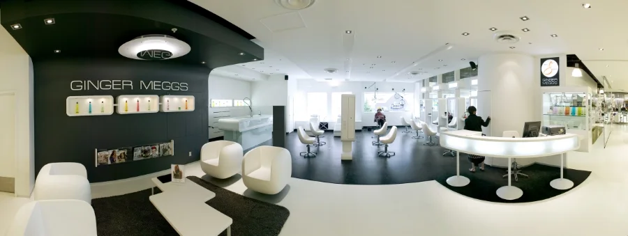   Ginger Meggs / /&nbsp; Salon 