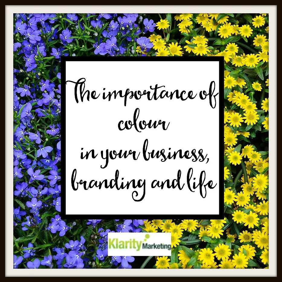 The importance of colour in your business, branding and life