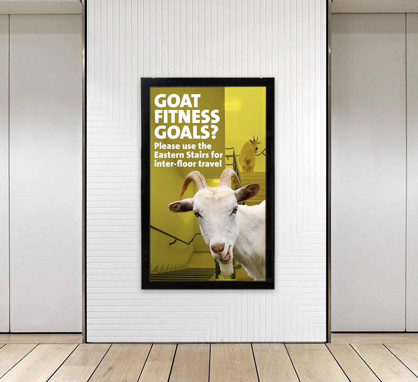 Lift Mockup_A_Goats.jpg