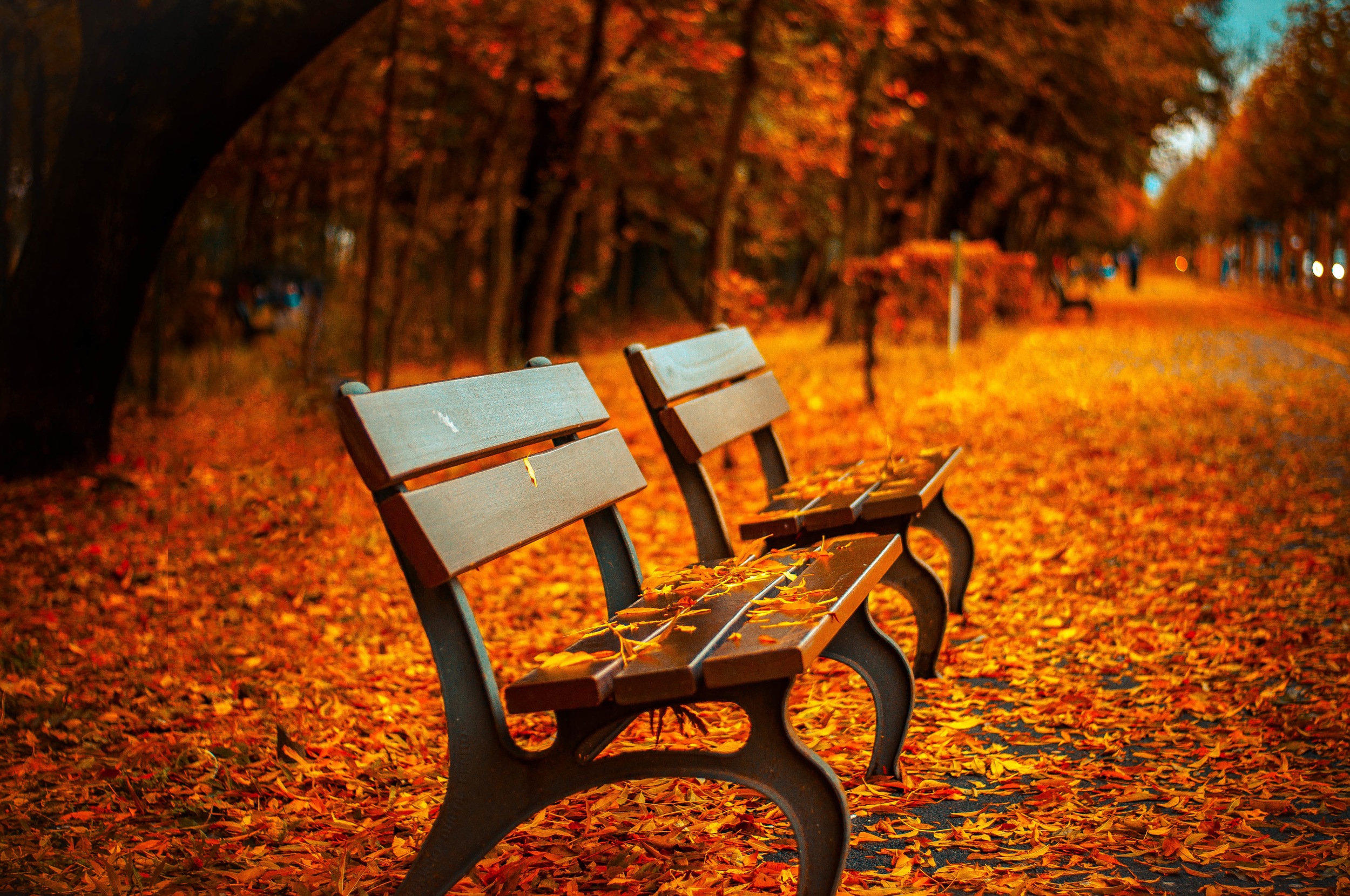 photo-fall bench_rula sibai.jpg