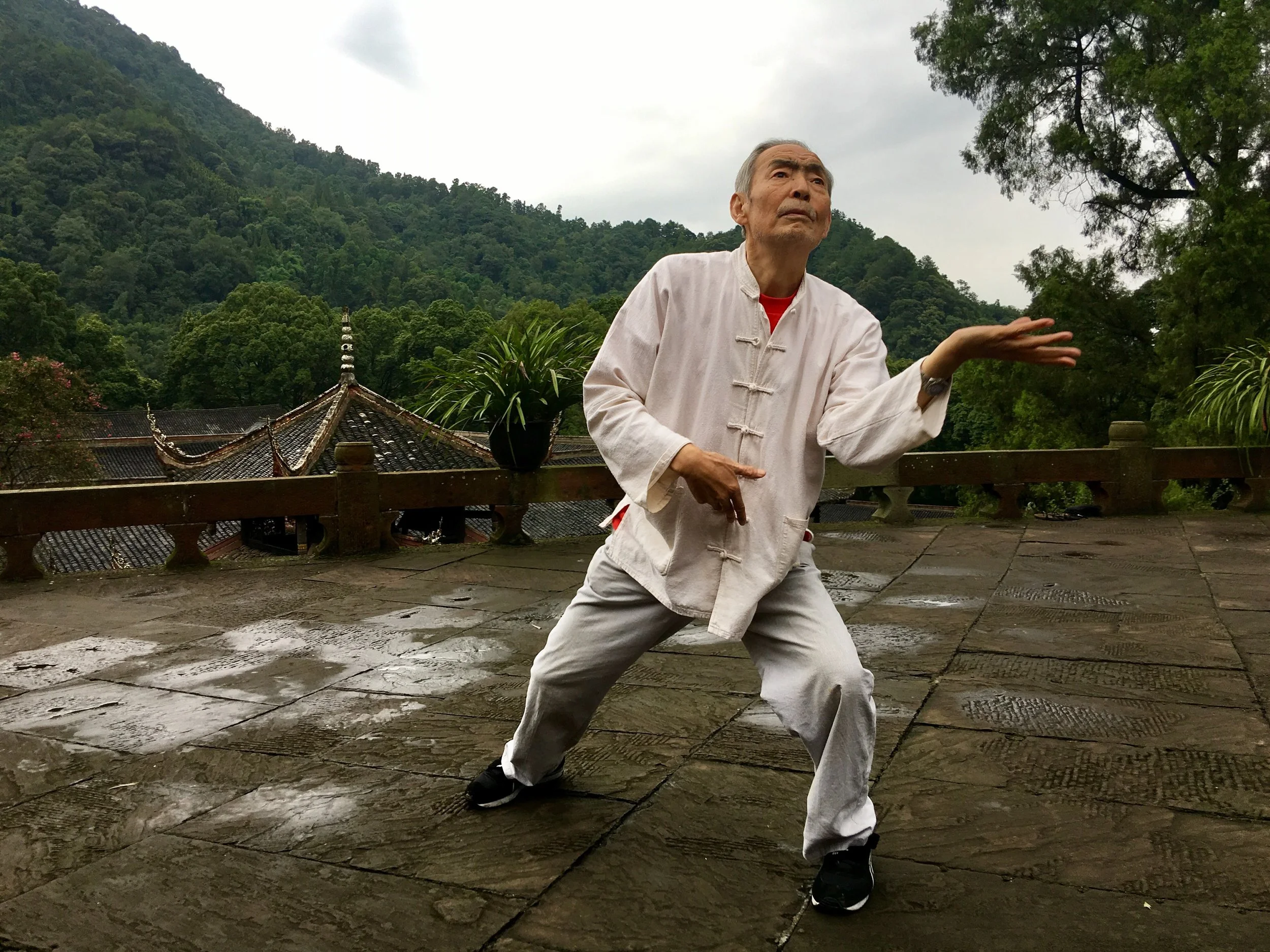 Prof. Qingyu Wang