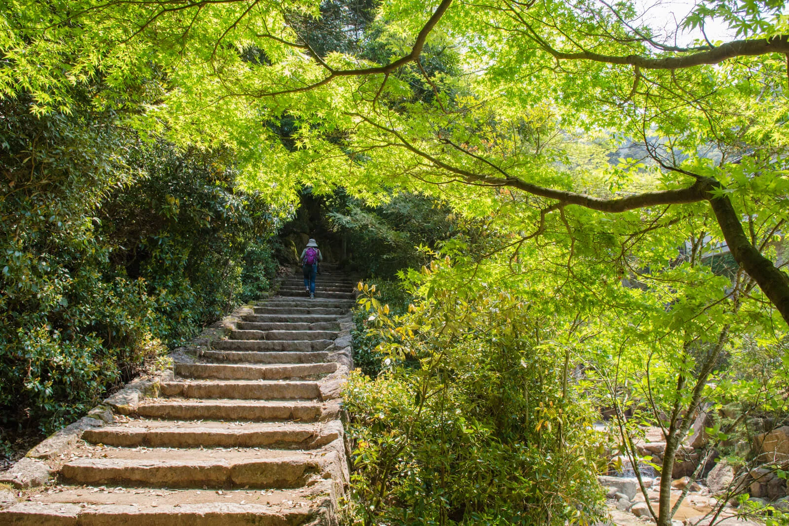 Unexpected Ways to Explore Japan - Discover Unique Cultural and Natural Offerings with Oku Japan.