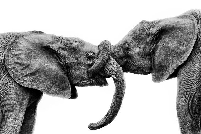 KATERINA CHRISTINA - Taking the Art World by Storm