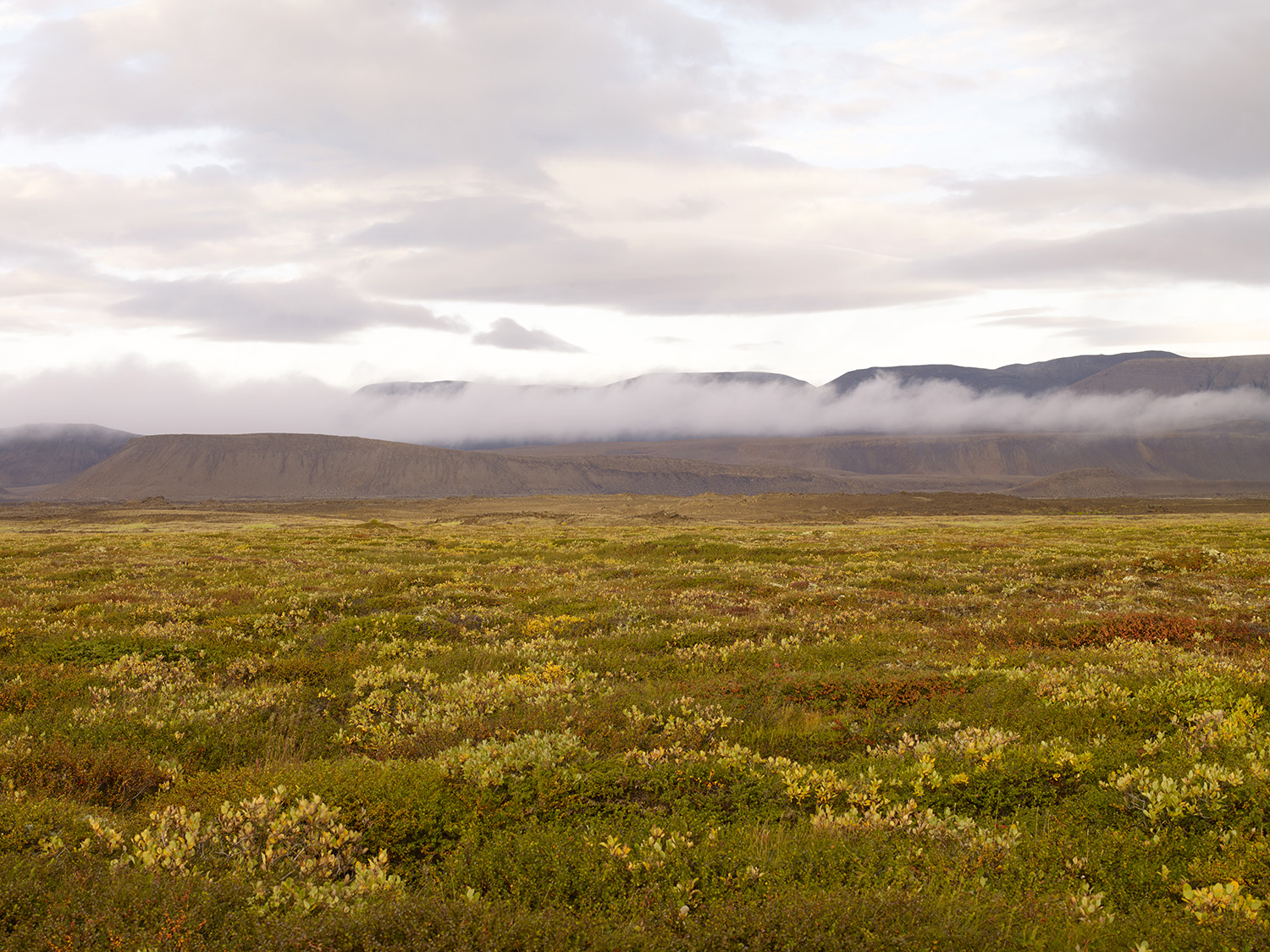 ICELAND_EP2_0914_1091.jpg