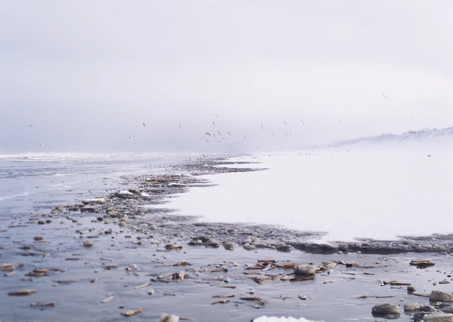 AMELAND_©guillaume_fandel.jpg