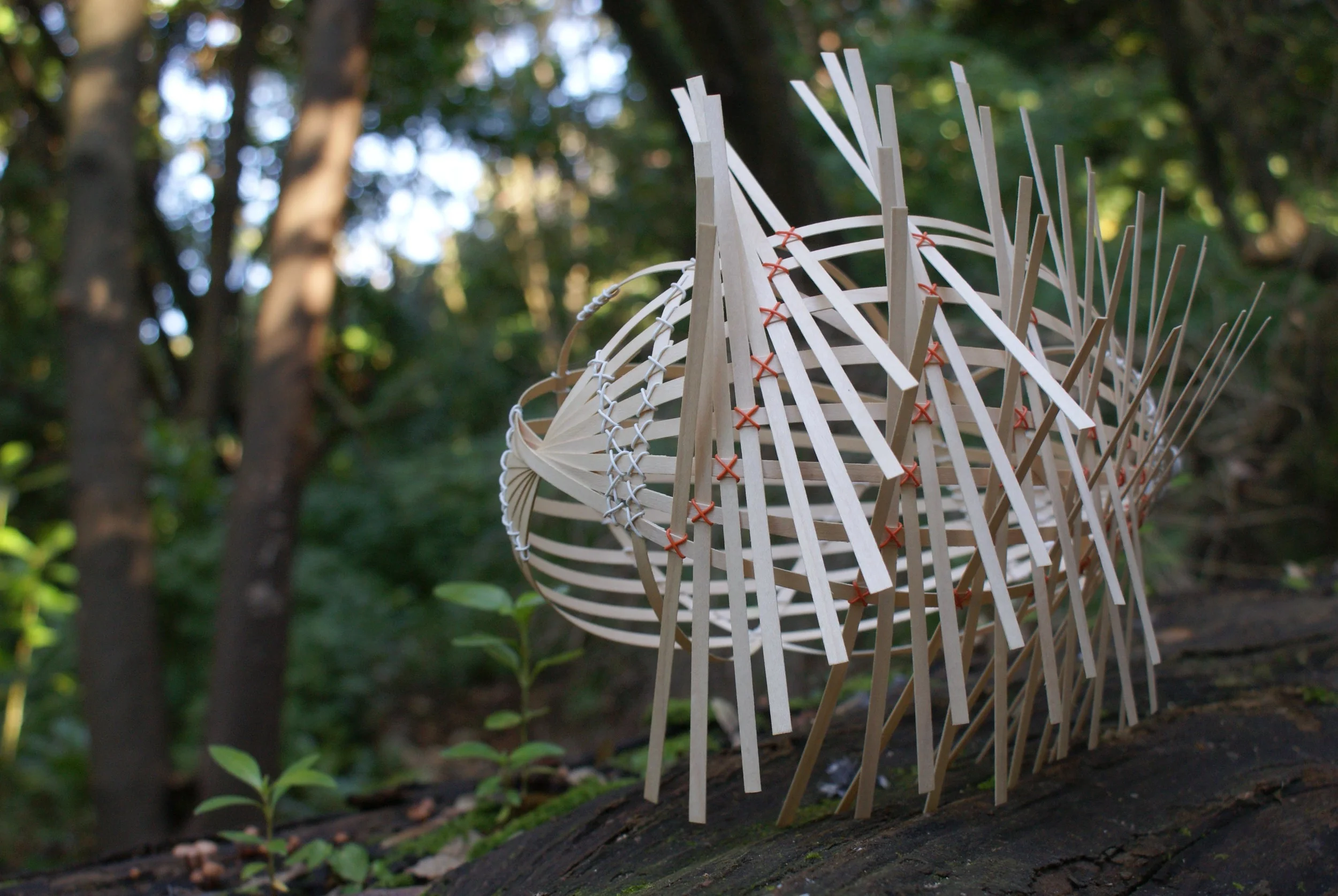 Weave1.jpg