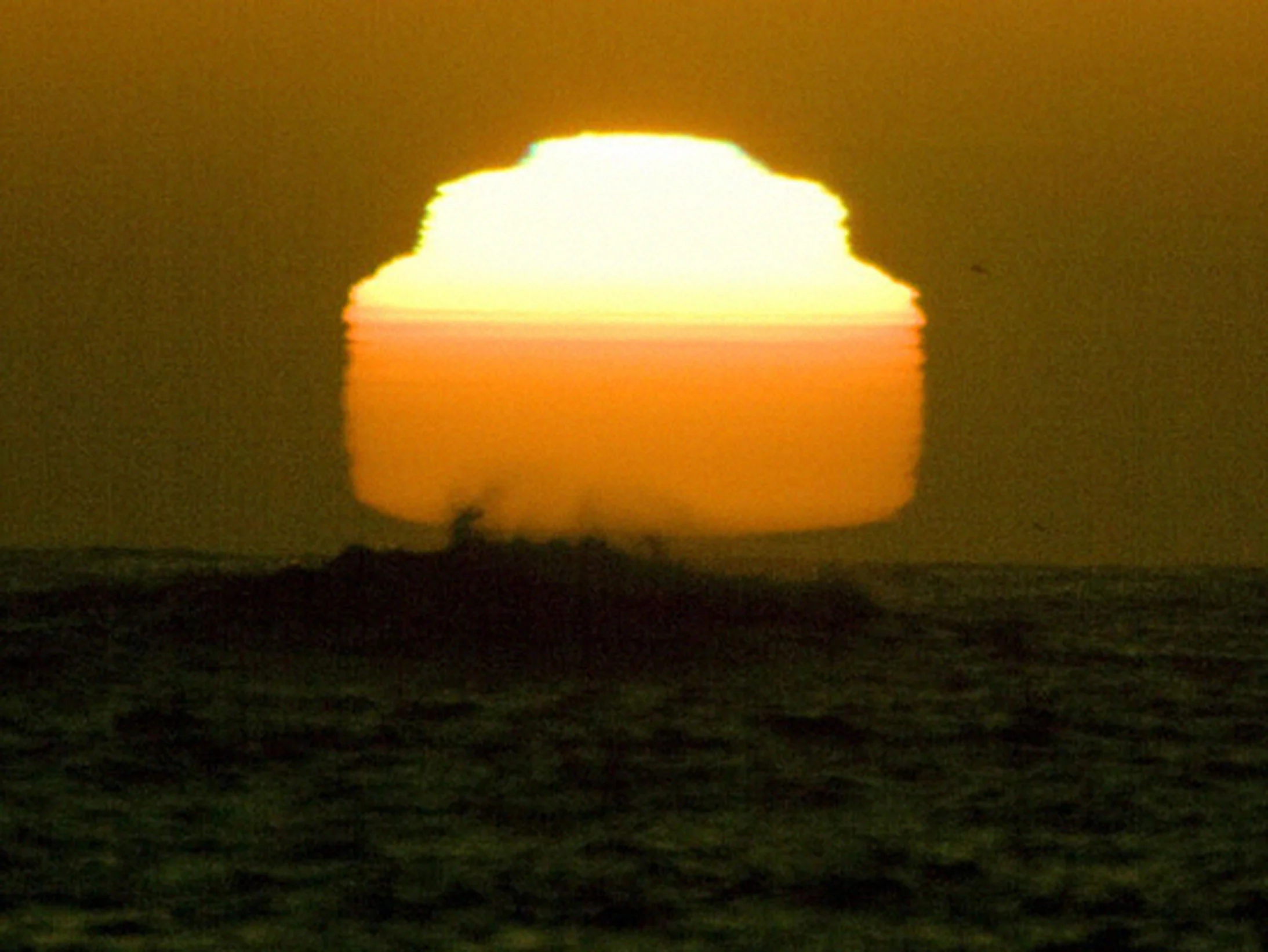SUN - ONE DAY OLD Video 4min 3sec - Alex Cecchetti 2008.jpg